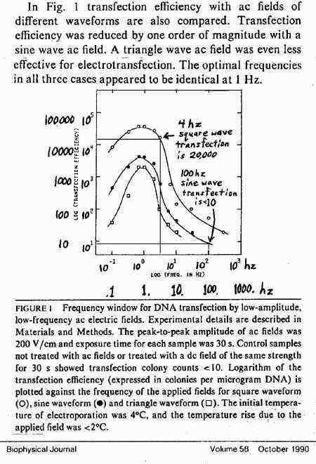 Transfection graph