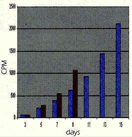 Calcium Levels