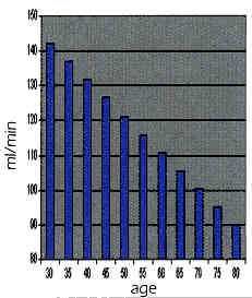 Kidney Function