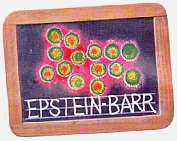 Epstein Barr