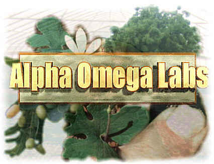 Alpha Omega Labs' Search Engine