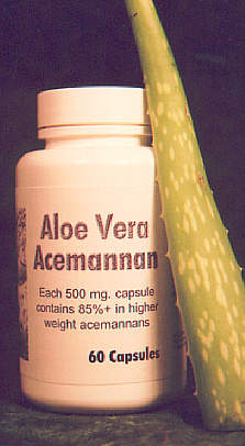 Aloe Vera Acemannan - 60 Caps